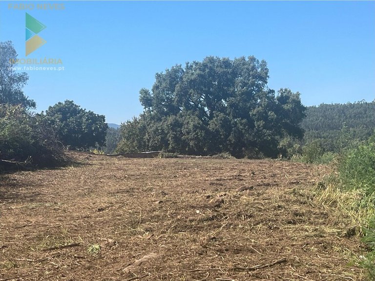 Villa for Sale in Ribeira, Ponte De Lima, Portugal 23