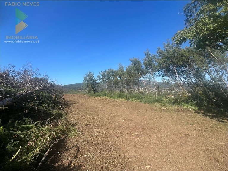 Villa for Sale in Ribeira, Ponte De Lima, Portugal 28