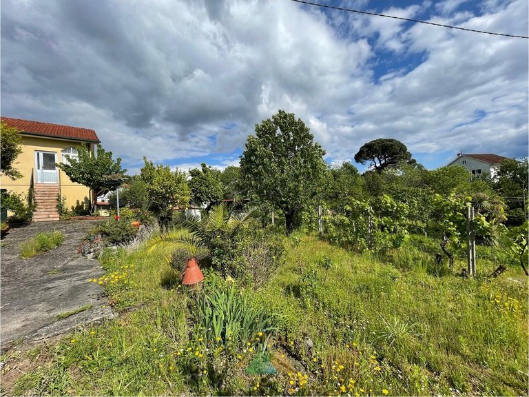 Villa for Sale in Couto, Arcos De Valdevez, Portugal 6