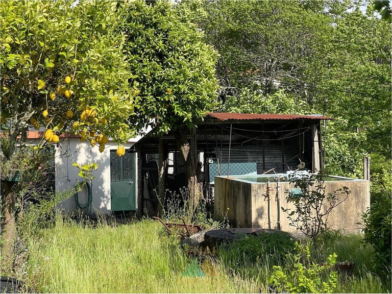 Villa for Sale in Couto, Arcos De Valdevez, Portugal 31