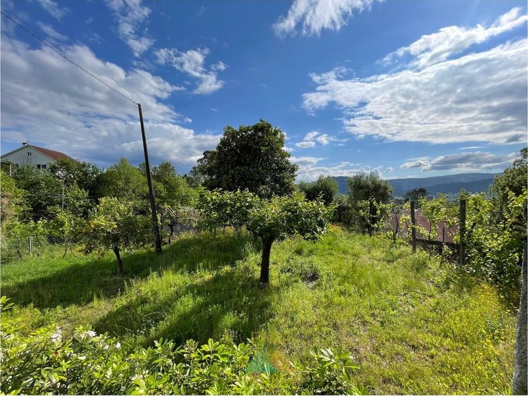 Villa for Sale in Couto, Arcos De Valdevez, Portugal 32