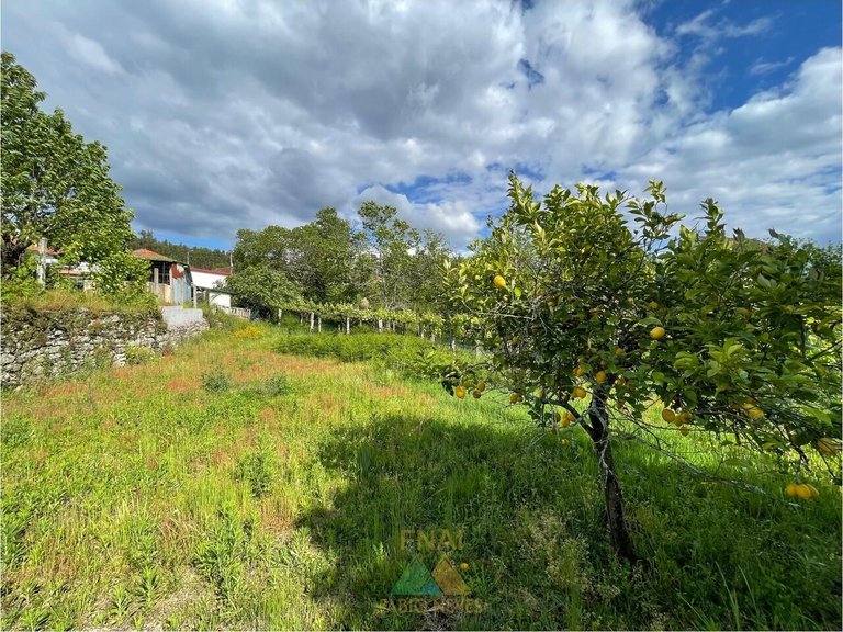 Villa for Sale in Couto, Arcos De Valdevez, Portugal 39