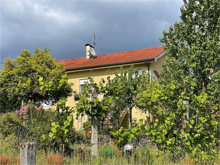 Villa for Sale in Couto, Arcos De Valdevez, Portugal 40