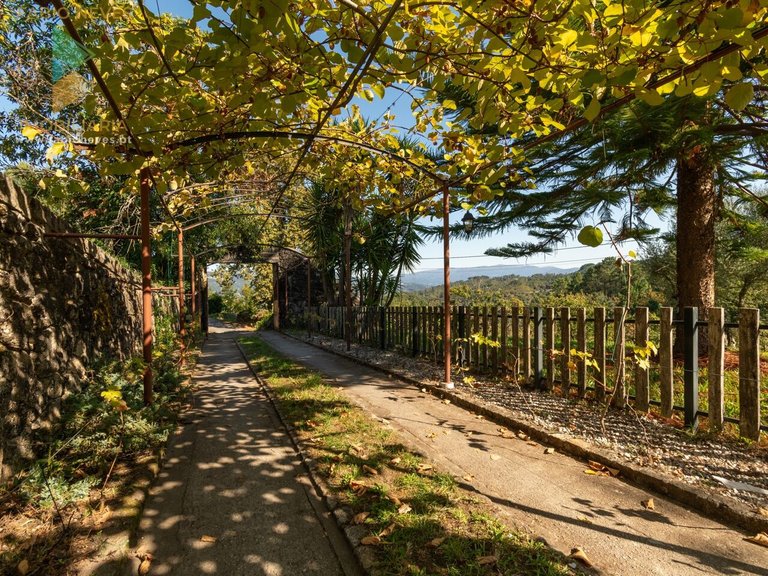 Villa for Sale in Beiral Do Lima, Ponte De Lima, Portugal 11