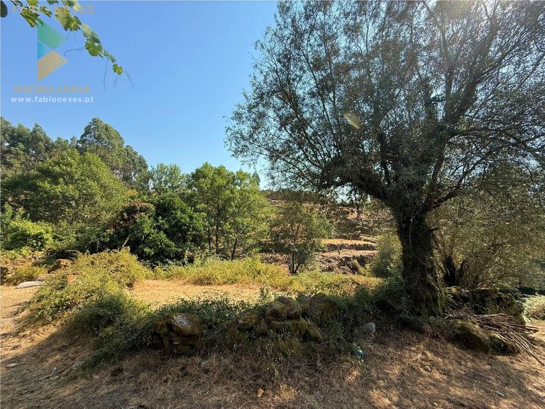 Villa for Sale in Vale, Arcos De Valdevez, Portugal 12