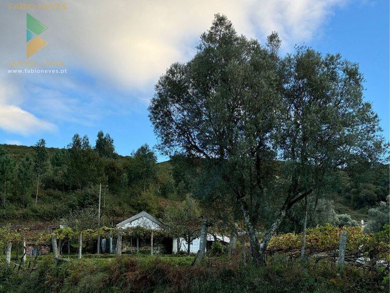Villa for Sale in Ázere, Arcos De Valdevez, Portugal 8