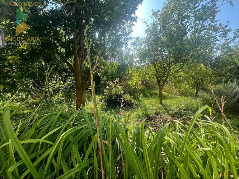 Villa for Sale in Lanheses, Viana Do Castelo, Portugal 14