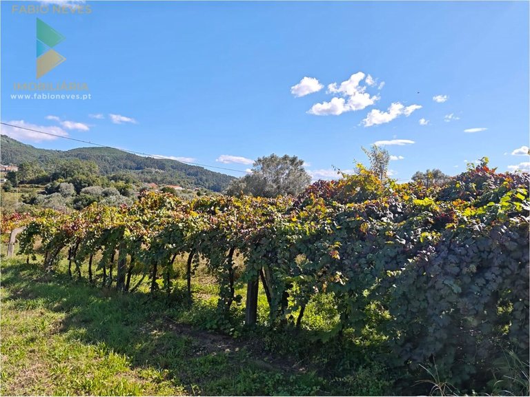 Villa for Sale in Labruja, Ponte De Lima, Portugal 5