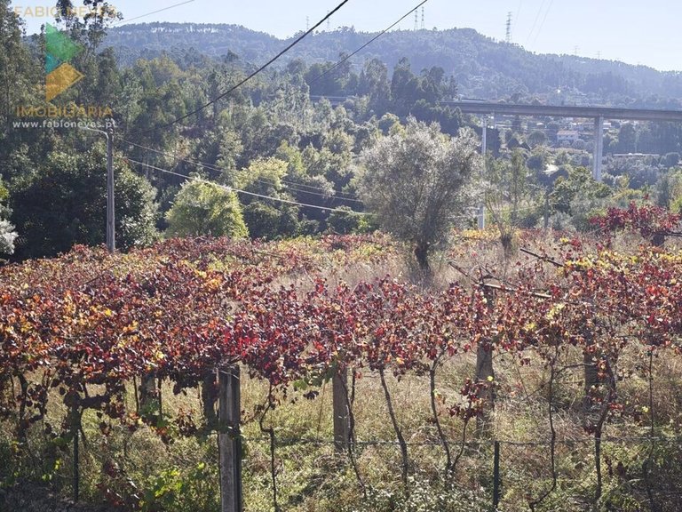 Villa for Sale in Rebordões (souto), Ponte De Lima, Portugal 2