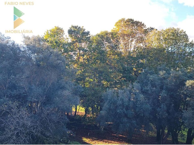 Villa for Sale in São Pedro De Arcos, Ponte De Lima, Portugal 25