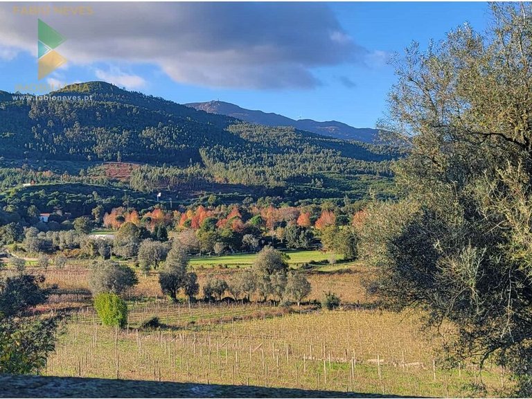 Villa for Sale in São Pedro De Arcos, Ponte De Lima, Portugal 5