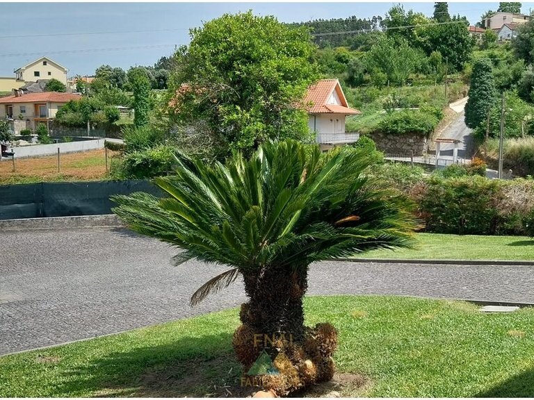 Villa for Sale in Oleiros, Ponte Da Barca, Portugal 12