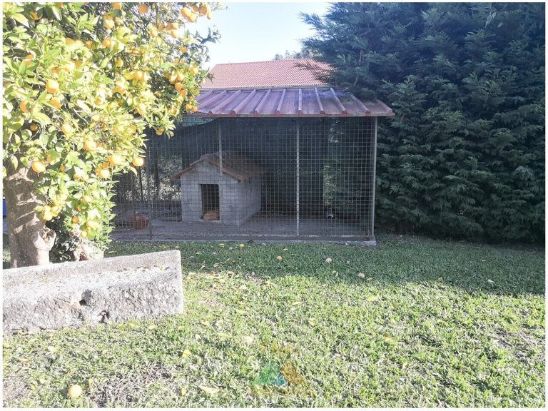 Villa for Sale in Oleiros, Ponte Da Barca, Portugal 17