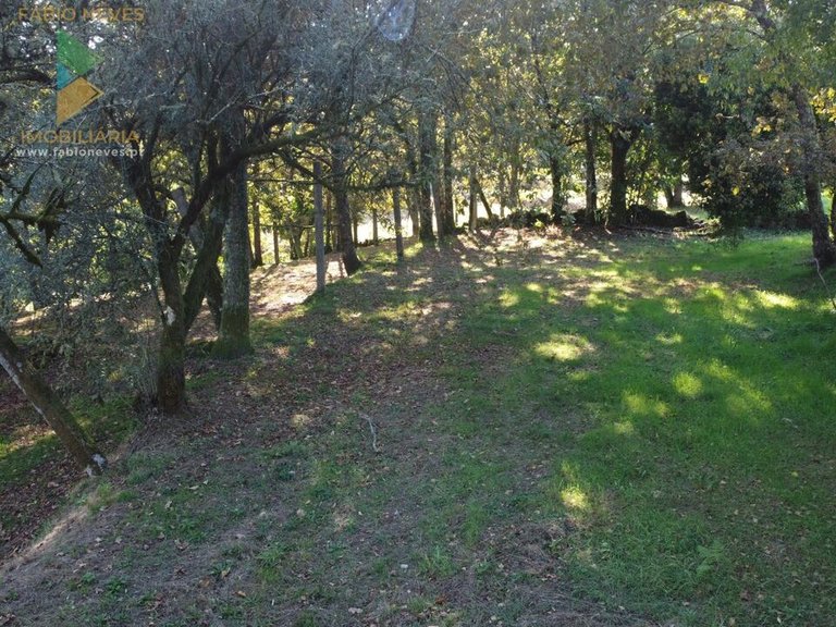Villa for Sale in Sabadim, Arcos De Valdevez, Portugal 9