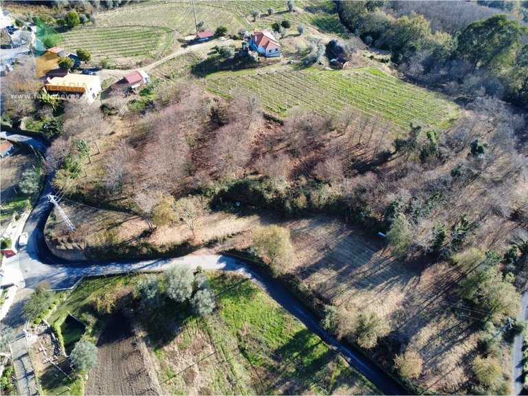 Plot for Sale in Calheiros, Ponte De Lima, Portugal 2