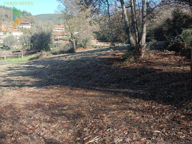 Plot for Sale in Calheiros, Ponte De Lima, Portugal 7