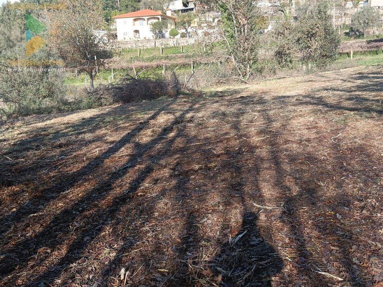 Plot for Sale in Calheiros, Ponte De Lima, Portugal 8