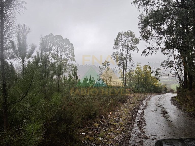 Plot for Sale in Anais, Ponte De Lima, Portugal 5