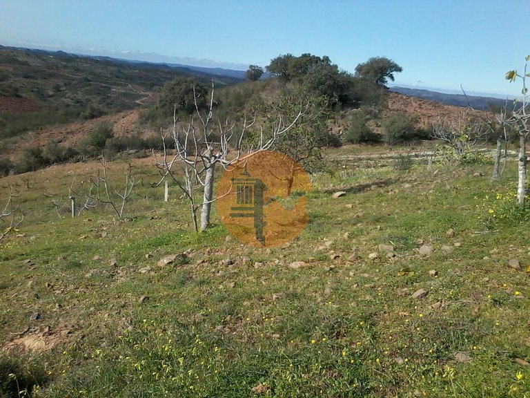 Plot for Sale in Odeleite, Castro Marim, Portugal 6
