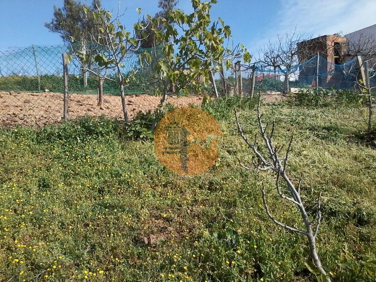 Plot for Sale in Odeleite, Castro Marim, Portugal 7