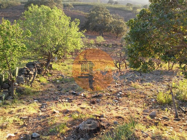 Plot for Sale in Odeleite, Castro Marim, Portugal 11