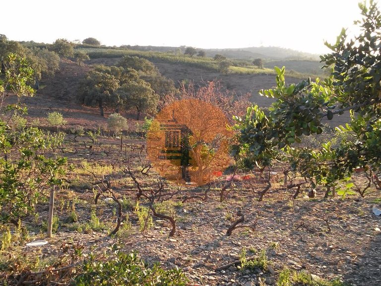 Plot for Sale in Odeleite, Castro Marim, Portugal 14