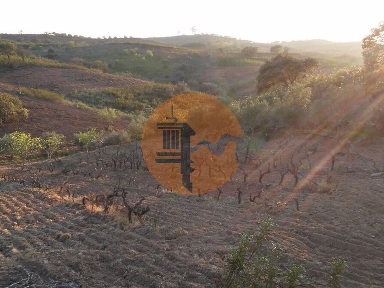 Plot for Sale in Odeleite, Castro Marim, Portugal 20