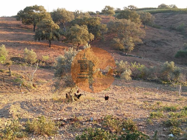 Plot for Sale in Odeleite, Castro Marim, Portugal 25