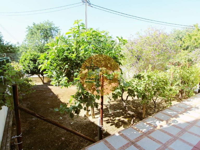 Villa for Sale in União Das Freguesias De Tavira (santa Maria E Santiago), Tavira, Portugal 19