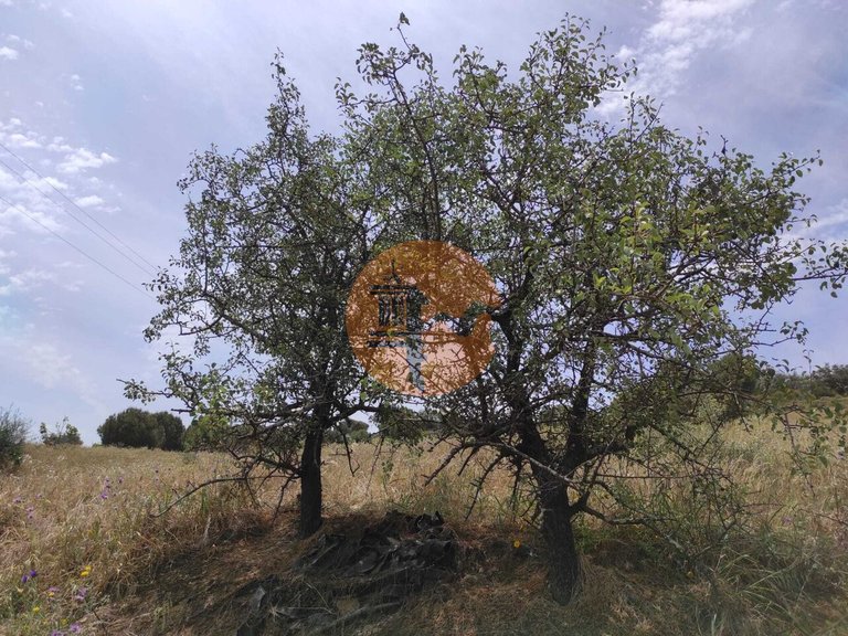 Plot for Sale in Castro Marim, Castro Marim, Portugal 1