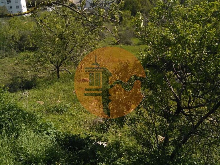 Plot for Sale in São Gonçalo De Lagos, Lagos, Portugal 3