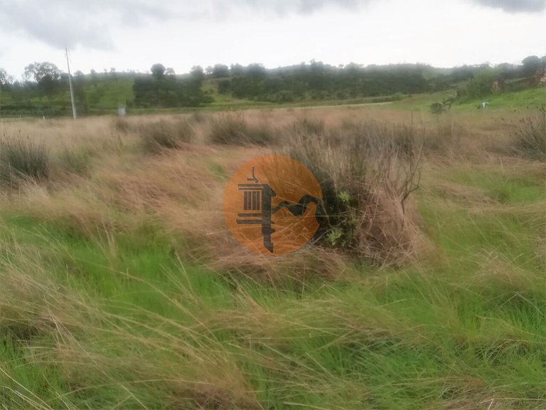 Plot for Sale in Castro Marim, Castro Marim, Portugal 27