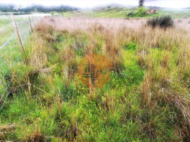 Plot for Sale in Castro Marim, Castro Marim, Portugal 29