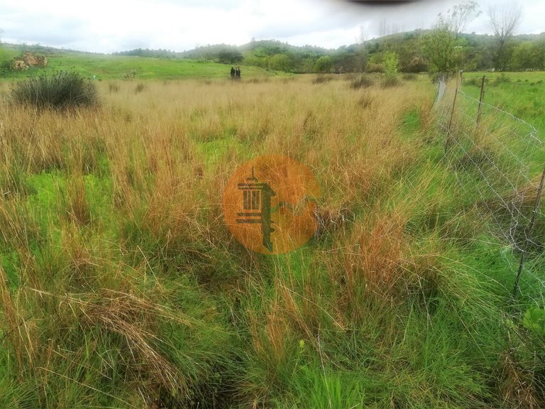 Plot for Sale in Castro Marim, Castro Marim, Portugal 36