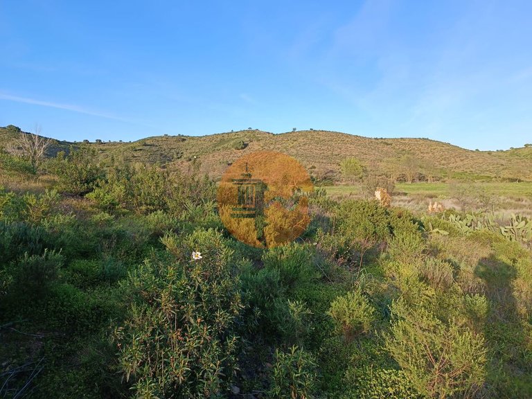 Plot for Sale in Castro Marim, Castro Marim, Portugal 40