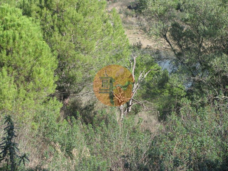 Plot for Sale in Azinhal, Castro Marim, Portugal 10