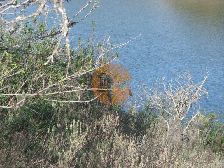 Plot for Sale in Azinhal, Castro Marim, Portugal 12