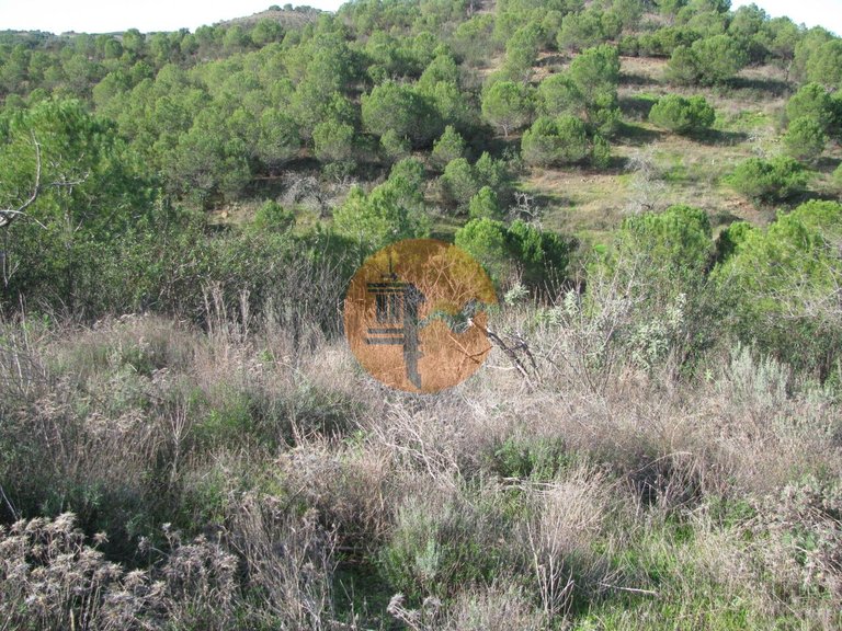 Plot for Sale in Azinhal, Castro Marim, Portugal 15