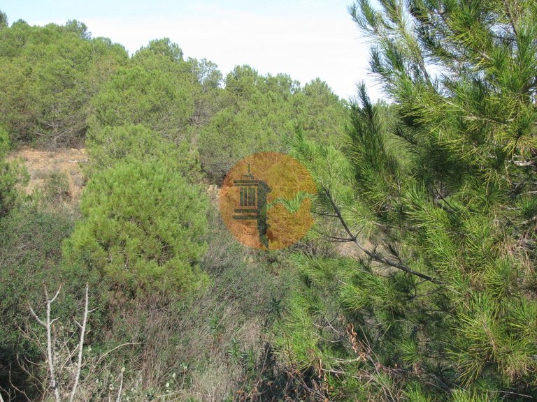 Plot for Sale in Azinhal, Castro Marim, Portugal 16