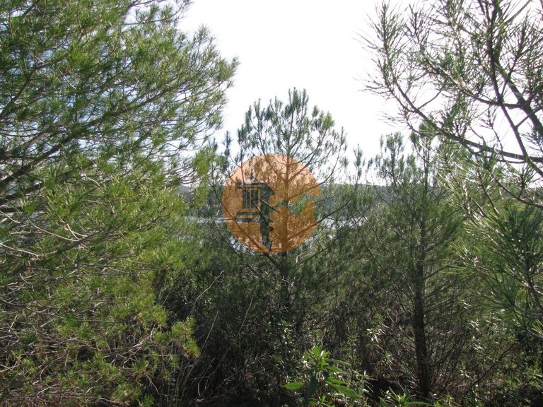 Plot for Sale in Azinhal, Castro Marim, Portugal 17