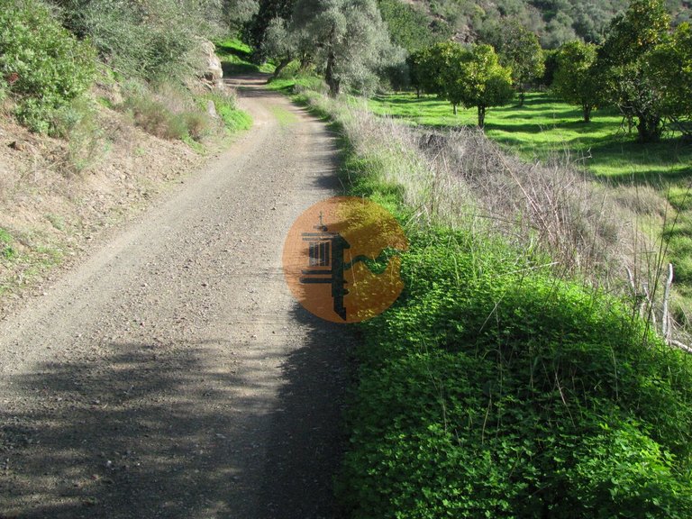 Plot for Sale in Azinhal, Castro Marim, Portugal 3