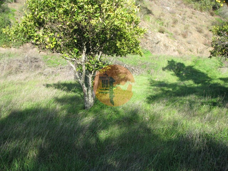Plot for Sale in Azinhal, Castro Marim, Portugal 8