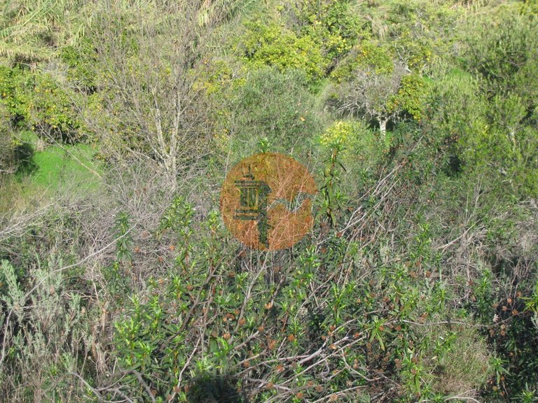 Plot for Sale in Azinhal, Castro Marim, Portugal 15