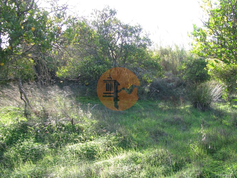 Plot for Sale in Azinhal, Castro Marim, Portugal 18