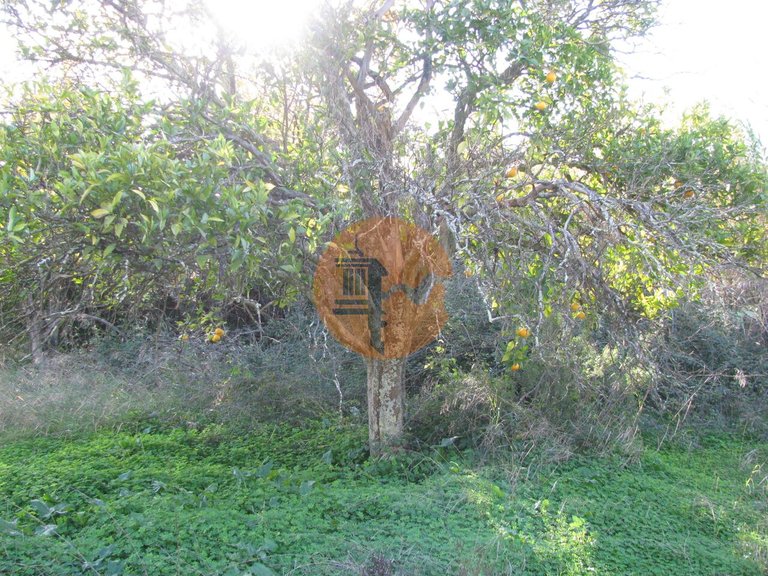 Plot for Sale in Azinhal, Castro Marim, Portugal 21