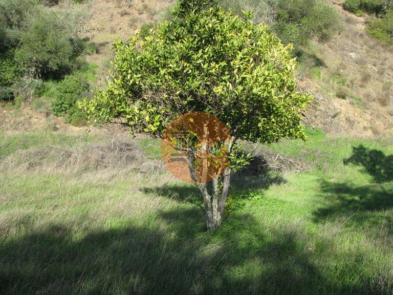 Plot for Sale in Azinhal, Castro Marim, Portugal 22