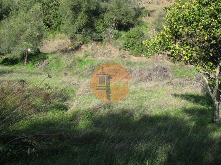 Plot for Sale in Azinhal, Castro Marim, Portugal 24