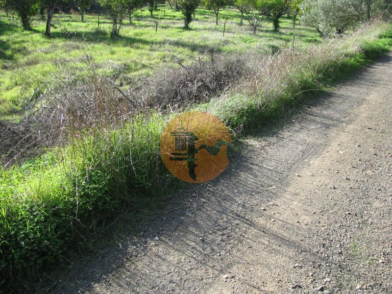 Plot for Sale in Azinhal, Castro Marim, Portugal 25