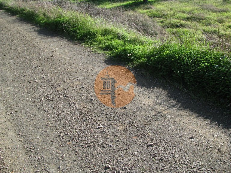 Plot for Sale in Azinhal, Castro Marim, Portugal 26