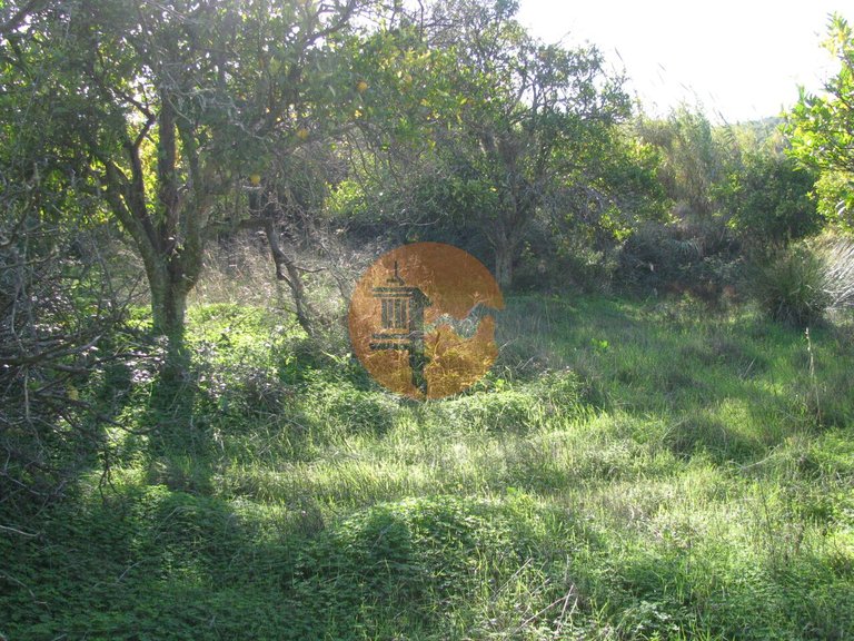 Plot for Sale in Azinhal, Castro Marim, Portugal 28
